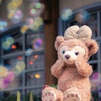 Disneycollectionshopp 🏰🧸