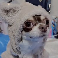 まろん・イヴ・ユキの部屋🐕 ྀི👶🏻‪‪ྀི