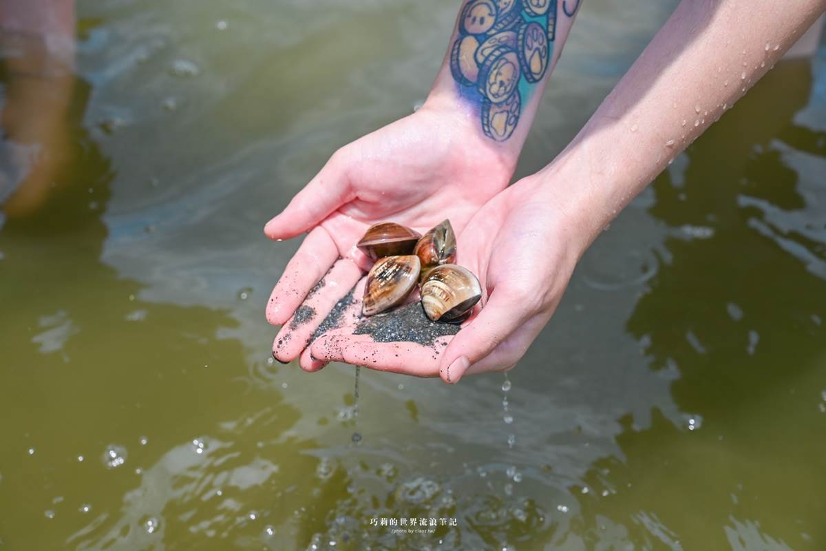 體驗全台唯一「海牛採蚵」！彰化芳苑１日遊必訪６亮點，海鮮控爽吃烤蚵大餐