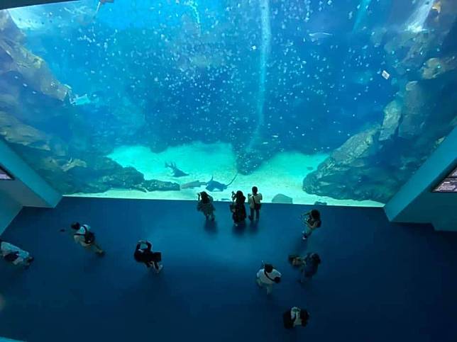 ＸＰＡＲＫ水族館。（中華旅行社提供）