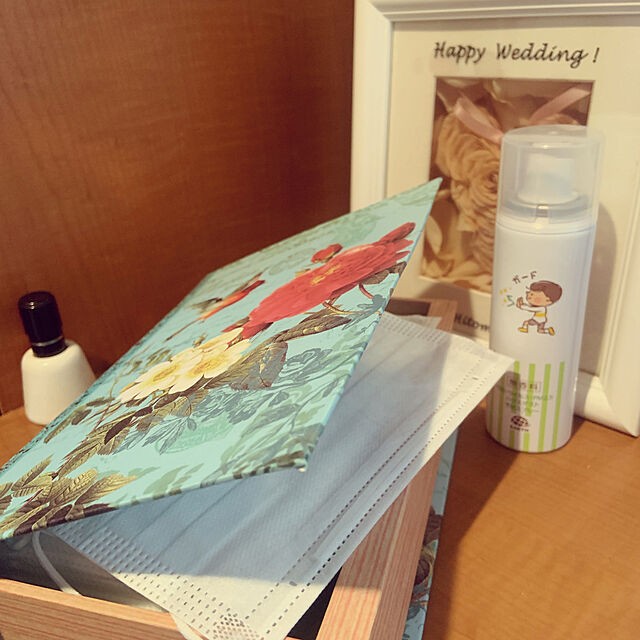 全部集めたくなる 100円ショップのブック型収納カタログ