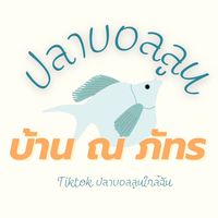 ปลาบอลลูนบ้าน ณ ภัทร
