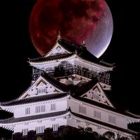 通話用 ゲーム用