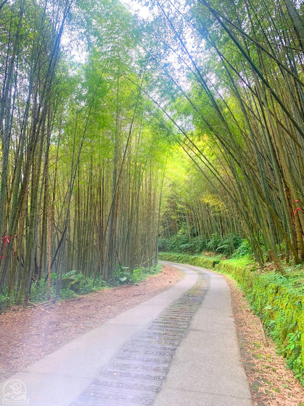 二延平茶霧步道