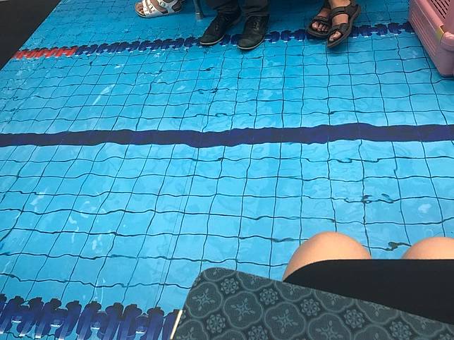 Menyerupai Kolam Renang, Kereta di Taiwan Bikin Penumpang Ingin Nyebur