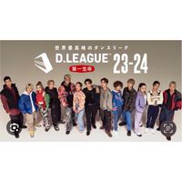 第一生命D.LEAGUEサポーター
