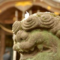 鉄オタ達の雑談部屋(愚痴)