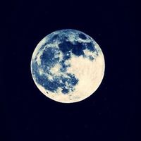 玥光仙子俱樂部🌙