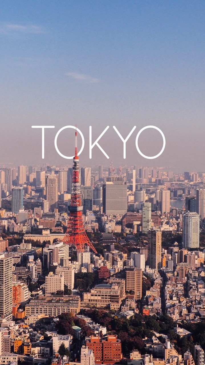 日本代go嚕