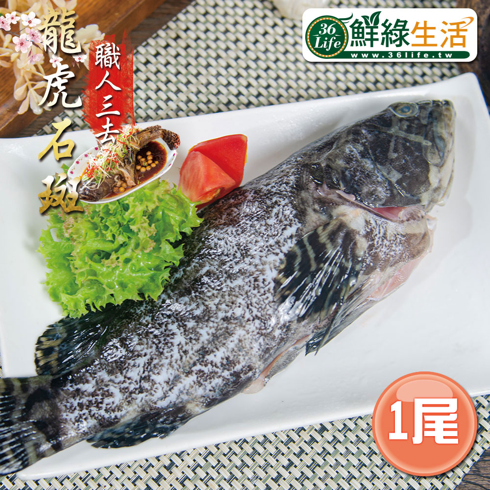 【鮮綠生活】特選級龍虎石斑 職人三清 550G 共1尾