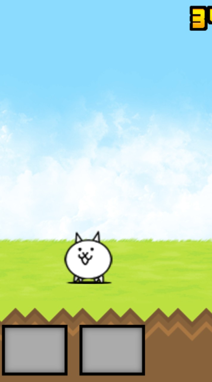 にゃんこ民の集い