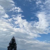 旅行雲朵隨風飄起來《🇯🇵日本代購》