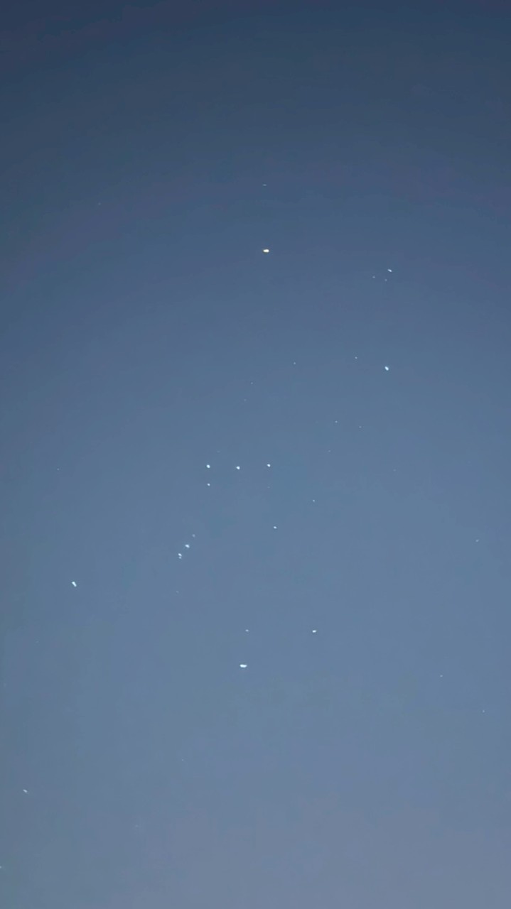エージェント黄昏