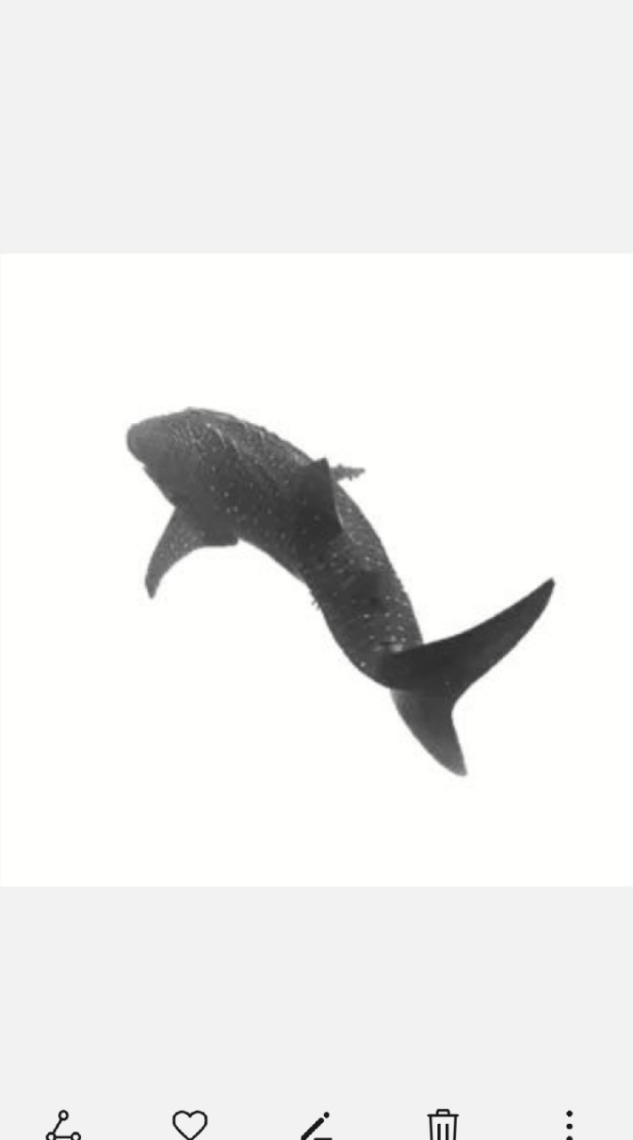 Freediving​ -​ Soul OpenChat