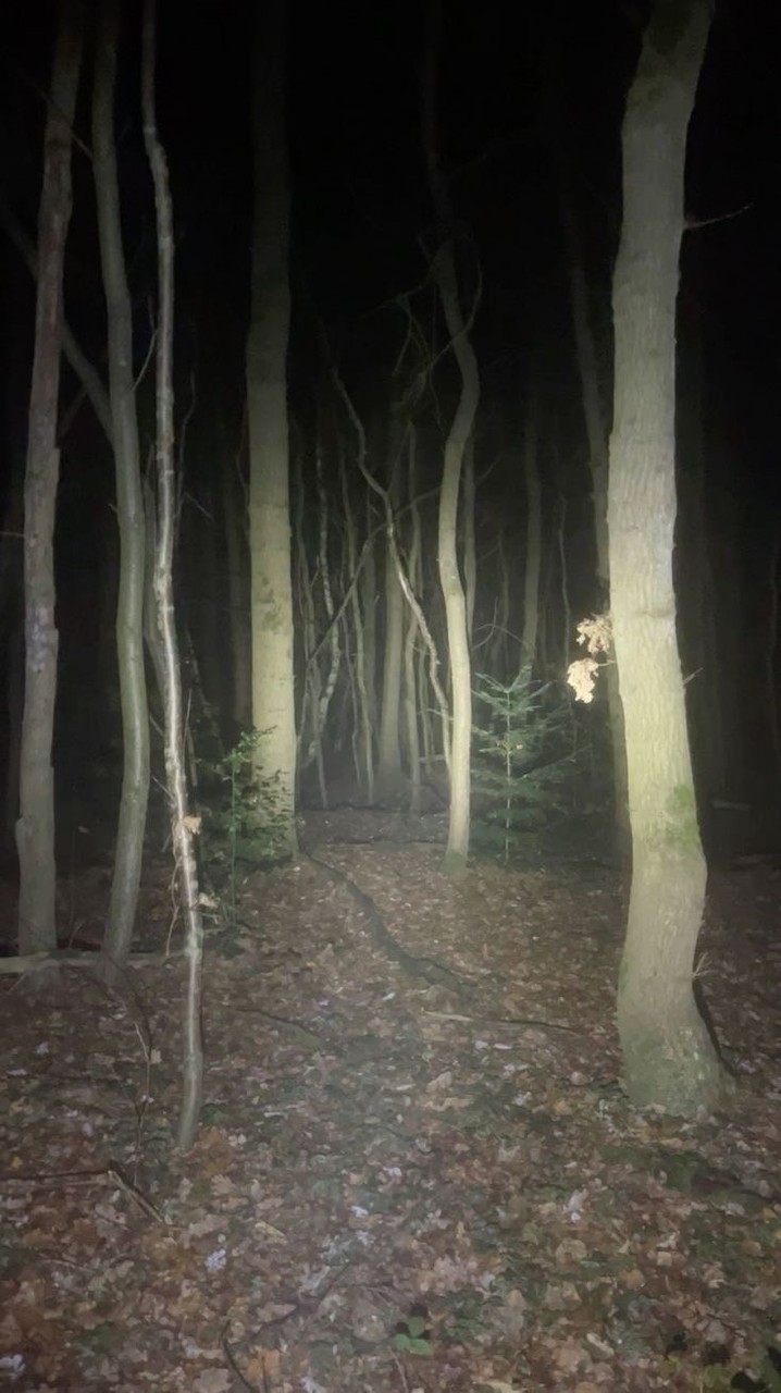 ꚰPathfinder’s Basecamp尋路者營地［全上皮對戲］