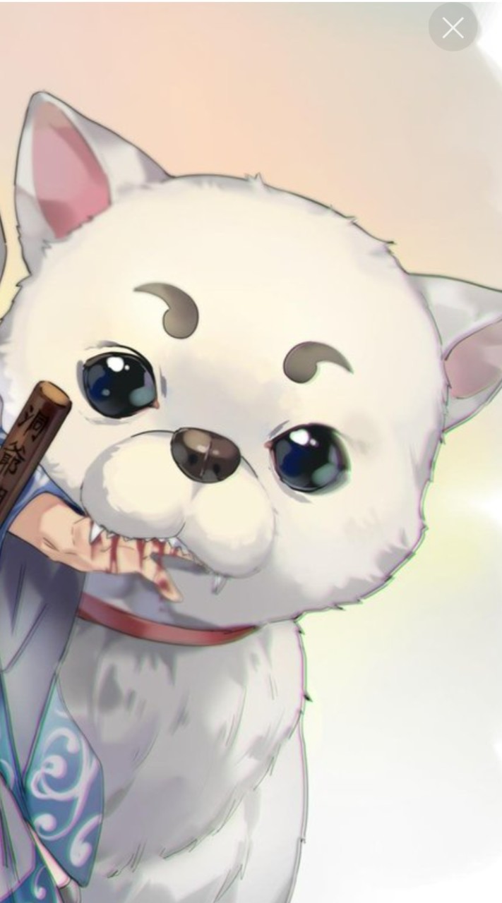 銀魂 激緩 也‼️‼️‼️ 🫵🏻🫵🏻🫵🏻