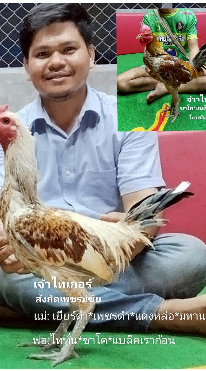 เพชรมีชัยฟาร์ม