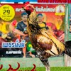 ซุ้ม เพชรจินดา สังกัด อริสา ไก่ชน