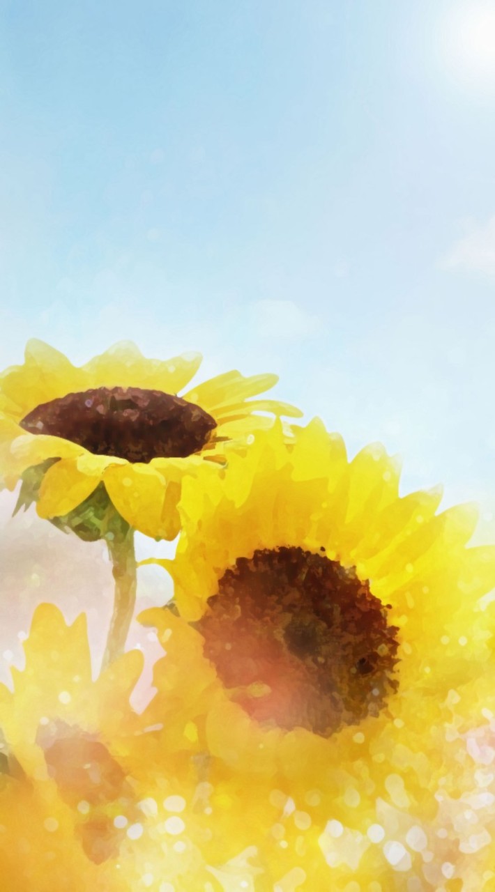 🌼まったり雑談部屋🌼