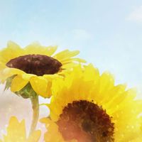 🌼まったり雑談部屋🌼