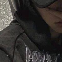 straykids 也