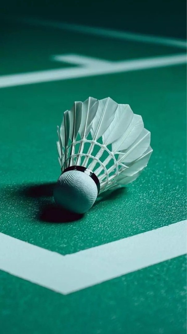 羽你一起（半夜揪團）🏸