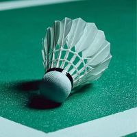 羽你一起（半夜揪團）🏸