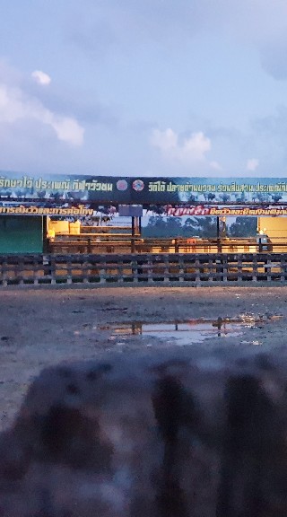 ภาพวัวชนByสนามฯ บ้านเสาธง