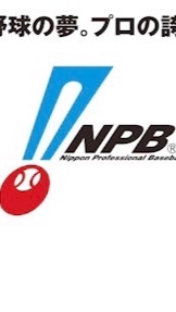 06.07プロ野球ファン