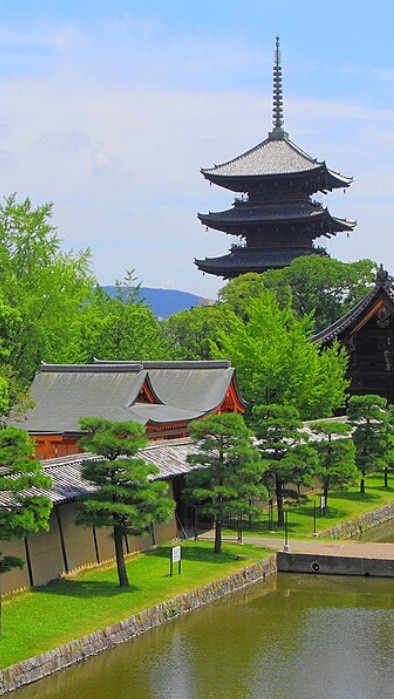 京都府理学療法士会ー市南支部