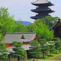 京都府理学療法士会ー市南支部
