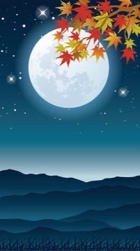 𝓝𝓔𝓦心穏🌙部屋