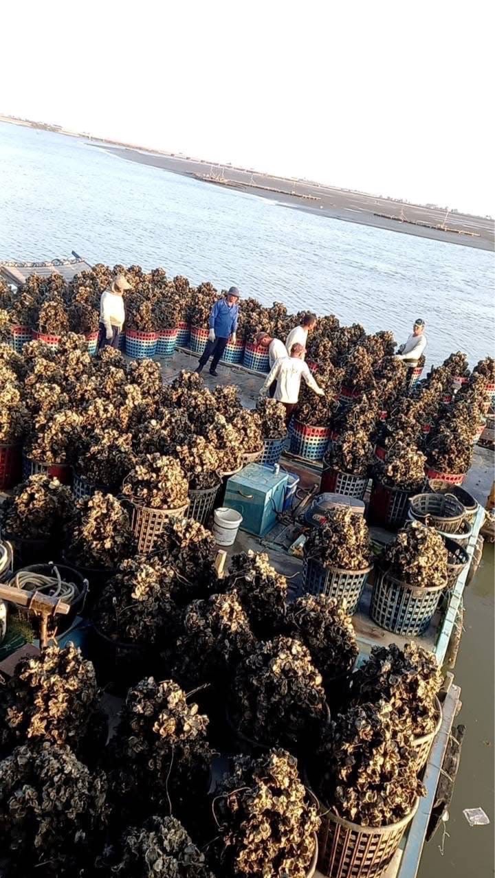 育合海鮮 蘆竹群