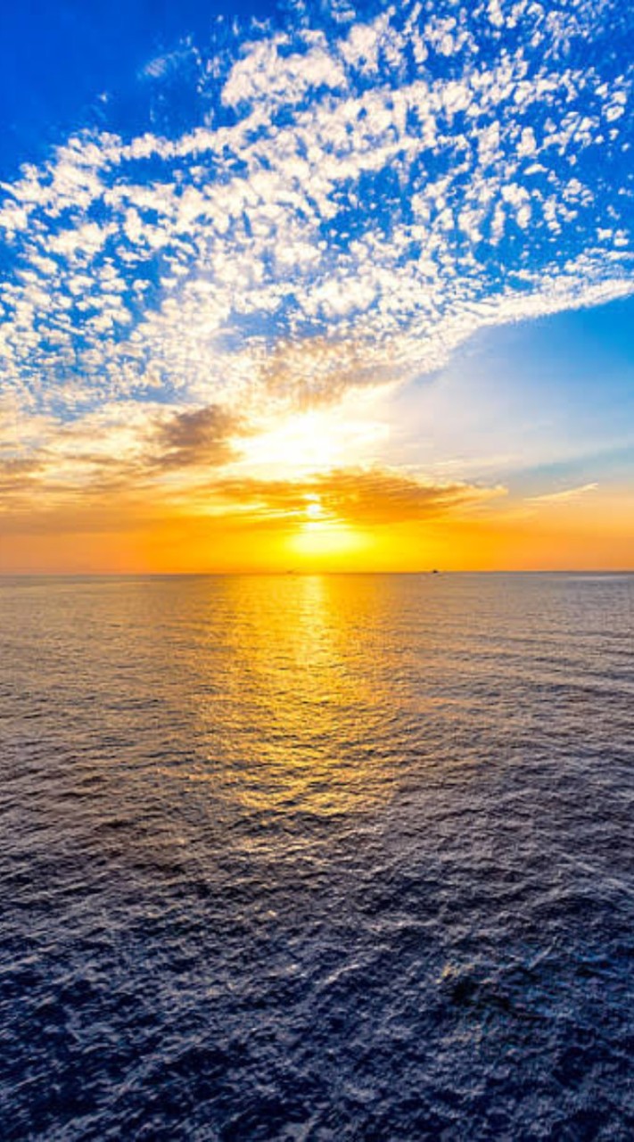 BRANI พูดคุยสาธารณะ