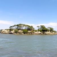 【奥座】中山美穂を見守る会