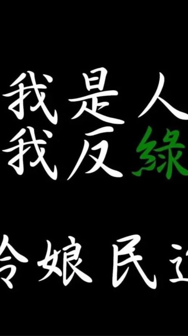 我是台灣人，我反綠！