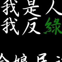 我是台灣人，我反綠！