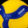排球吃瓜群 🏐