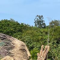 北部50+女生旅遊美食聚樂廍