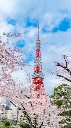 Nori諾立🐱4月～泰國代購