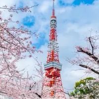 Nori諾立🐱4月～泰國代購