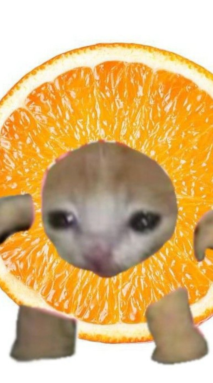 STAFF ZAD