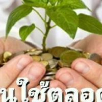 ร่วมหุ้นร่วมลงทุนพลังงานไฟฟ้าและโครงการอื่นๆกับPB