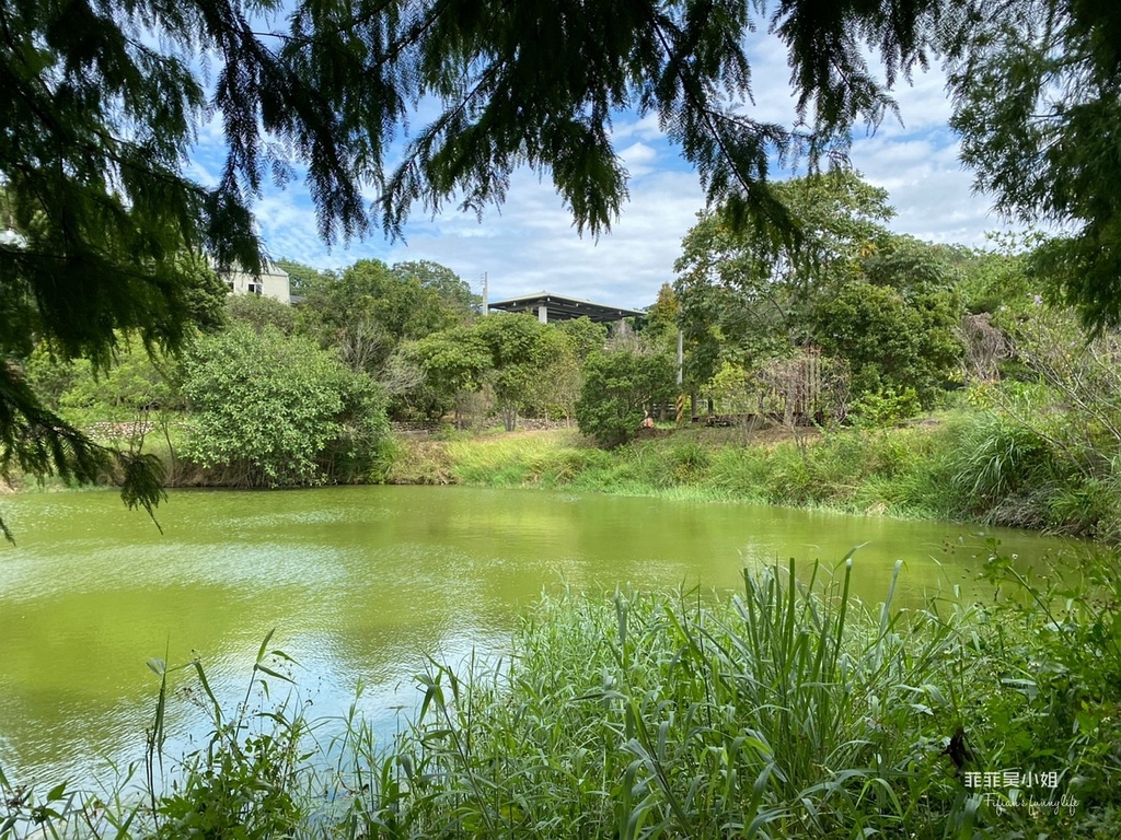 新竹寶山 新城風糖 黑糖飄香遊新城 爆漿黑糖饅頭DIY 甘蔗職人體驗