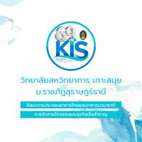 DEK KIS 69 🌴