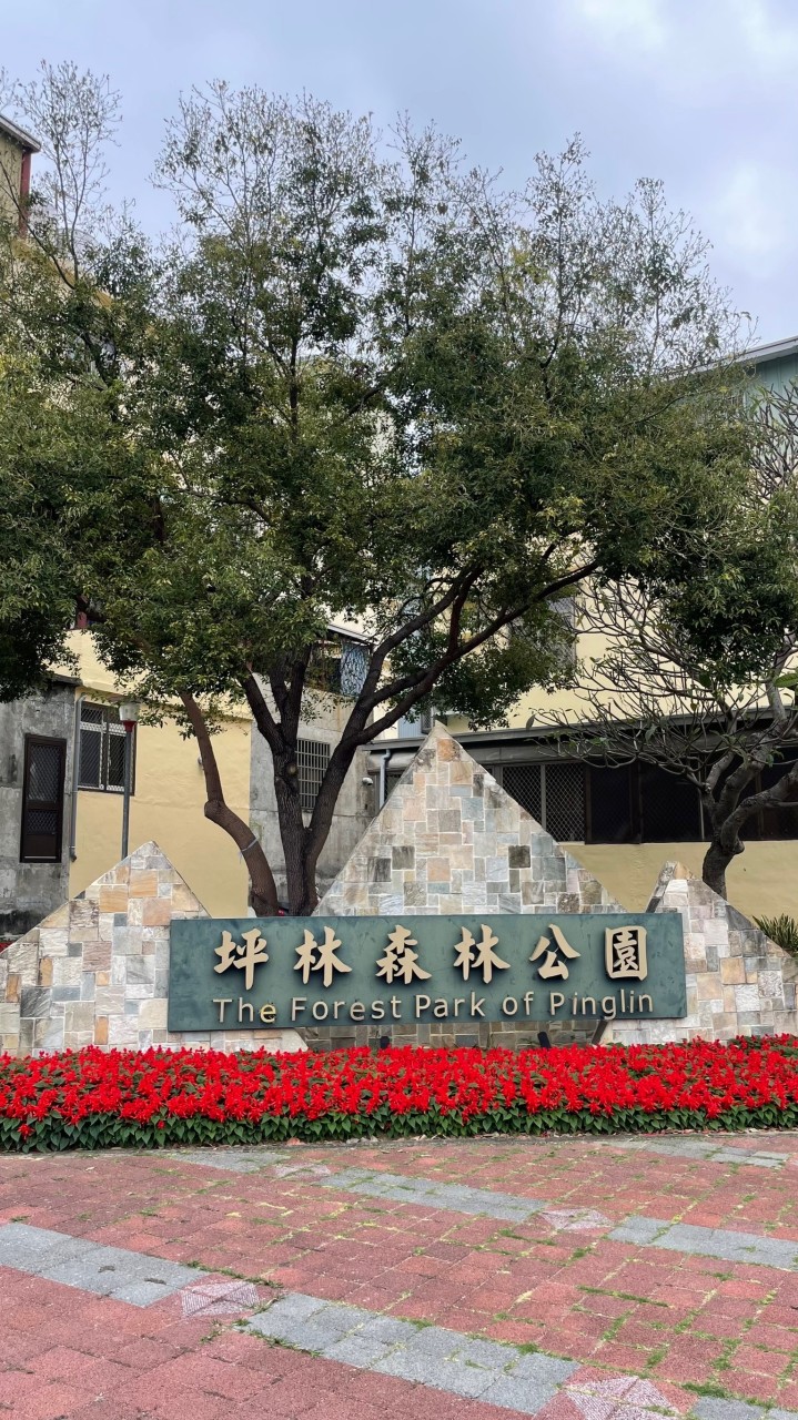 坪林森林公園揪運動💪