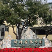 坪林森林公園揪運動💪