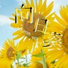 界隈民の雑談場【向日葵組】