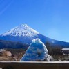 福吉日貨 🗻朱印 | 御守 | 神社代購