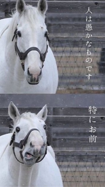とある全緩の避難用